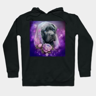 Spiritual Cane Corso Hoodie